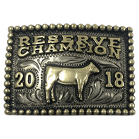 CBBP 104 - Corriente Buckle