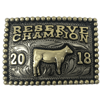 CBBP 104 - Corriente Buckle