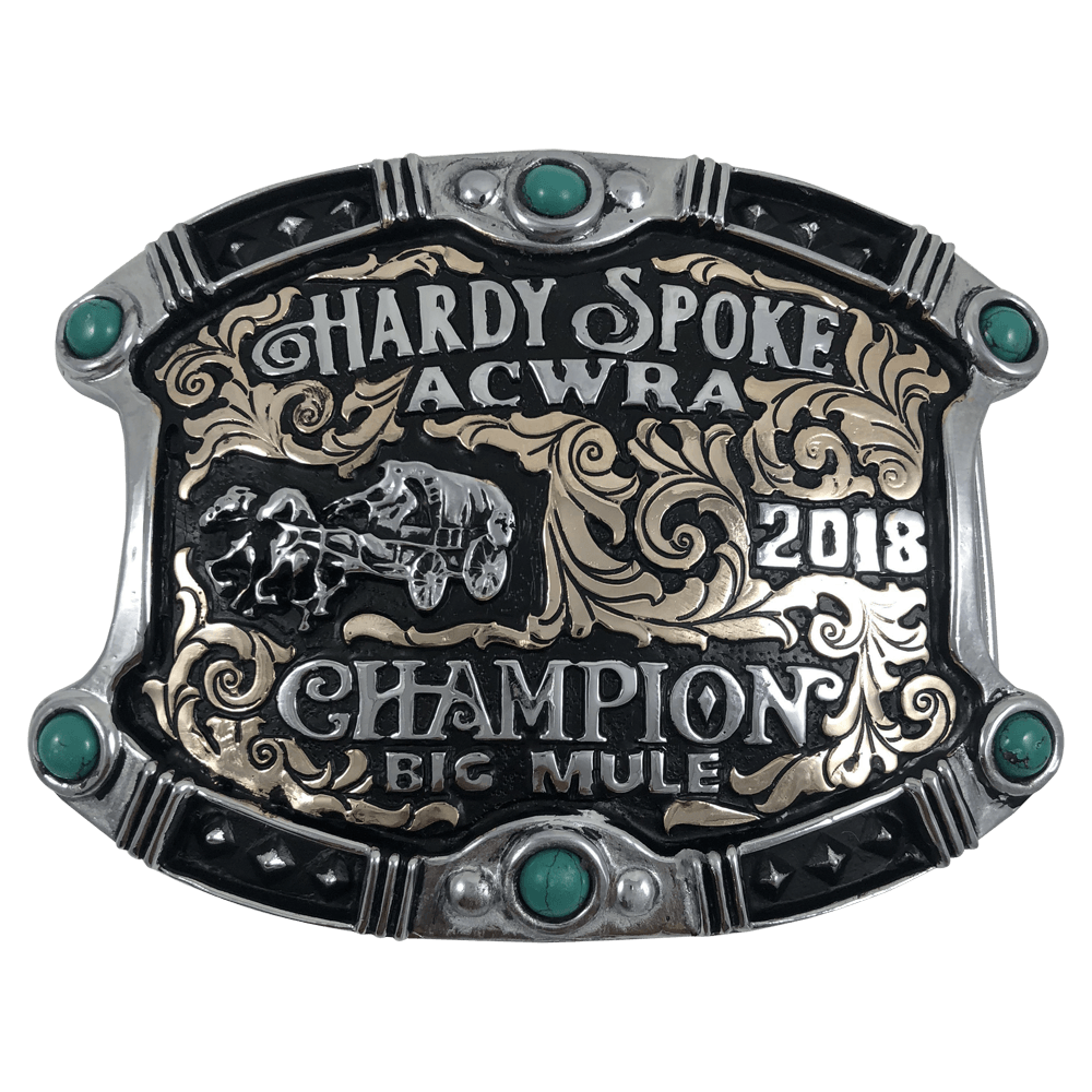 CBC 160 - Corriente Buckle