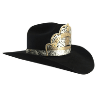 CBCO 101 - Corriente Buckle