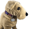 CBDOG 100 - Corriente Buckle