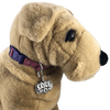 CBDOG 101 - Corriente Buckle