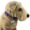 CBDOG 115 - Corriente Buckle