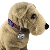 CBDOG 115 - Corriente Buckle