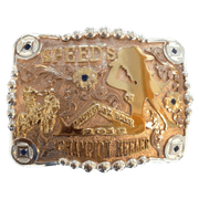 CBE 140 - Corriente Buckle