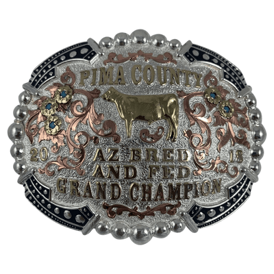 CBE 195 - Corriente Buckle