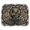 CBE 203 - Corriente Buckle