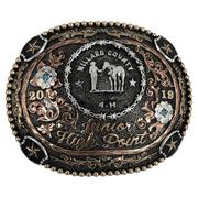 CBE 230 - Corriente Buckle