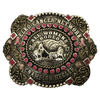CBE 256 - Corriente Buckle