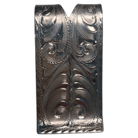 CSMC 100 - Corriente Buckle