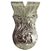 CSMC 110 - Corriente Buckle