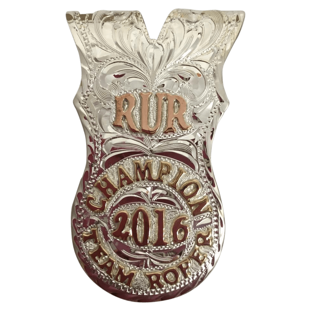 CSMC 110 - Corriente Buckle