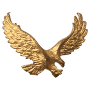 Eagle - Corriente Buckle