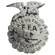 FFA - Corriente Buckle