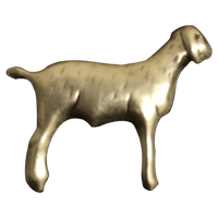 Goat - Corriente Buckle