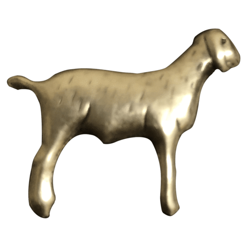 Goat - Corriente Buckle