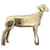Lamb - Corriente Buckle