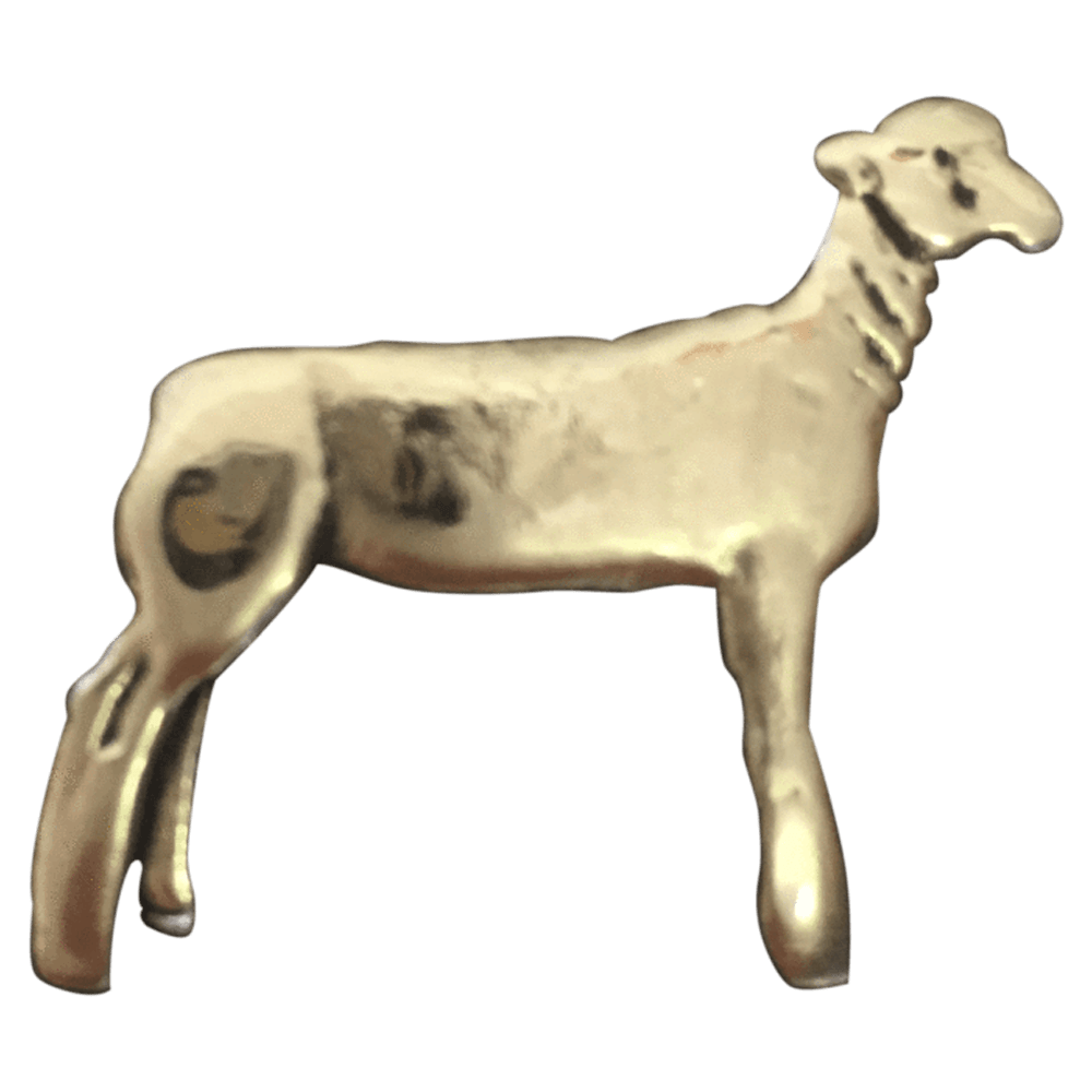 Lamb - Corriente Buckle