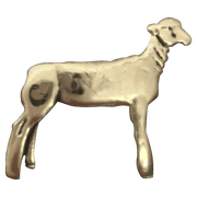 Lamb - Corriente Buckle