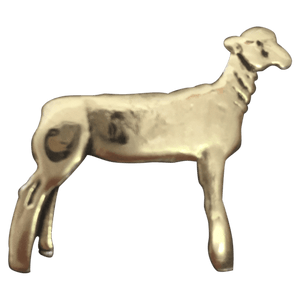 Lamb - Corriente Buckle