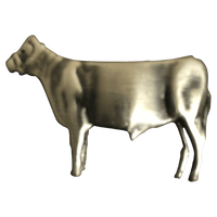 Market Steer - Corriente Buckle