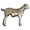 Meat Goat - Corriente Buckle