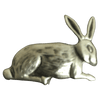 Rabbit - Corriente Buckle