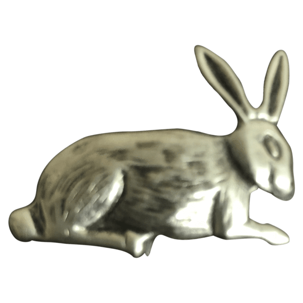 Rabbit | Corriente Buckle