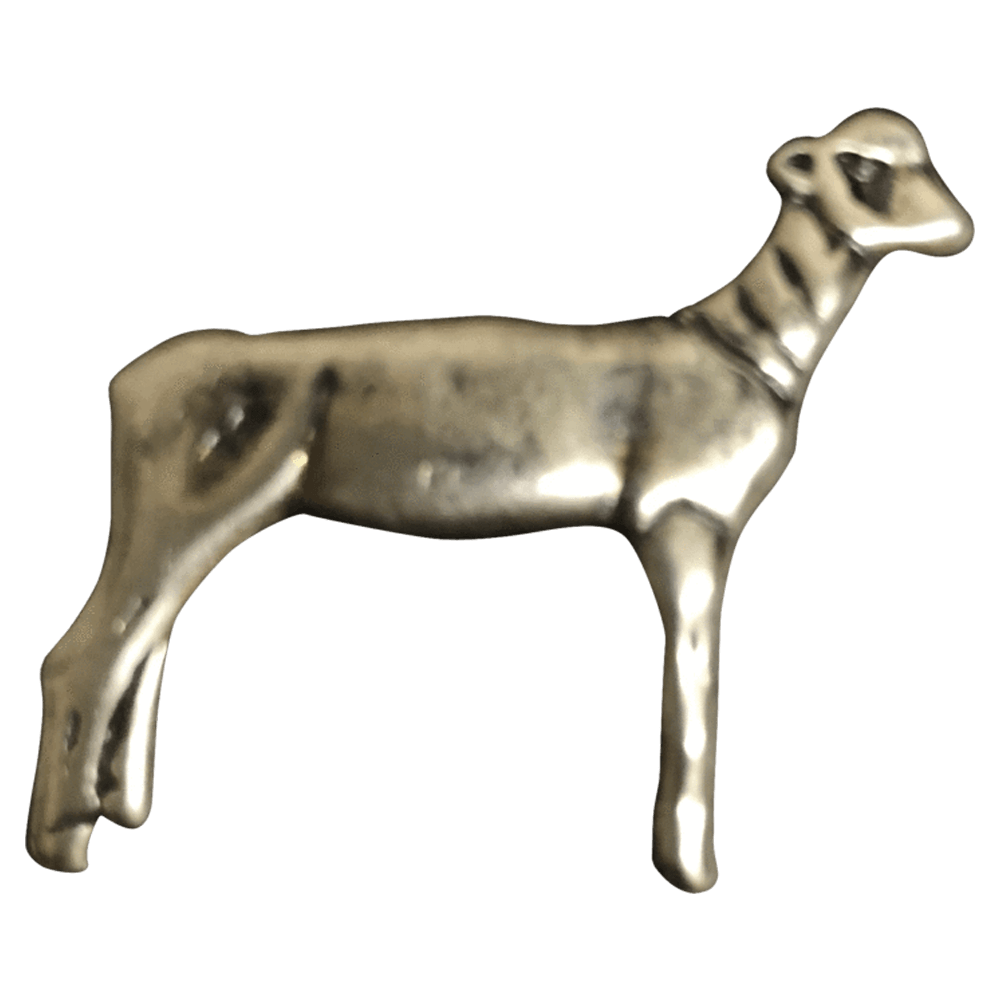 Sheep - Corriente Buckle