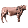 Standing Bull - Corriente Buckle