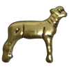 Weather - Corriente Buckle