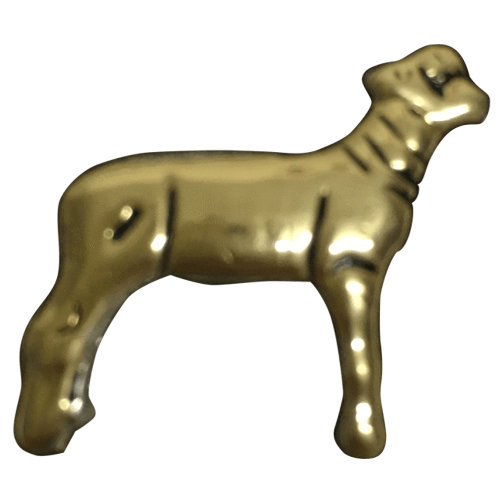 Weather - Corriente Buckle
